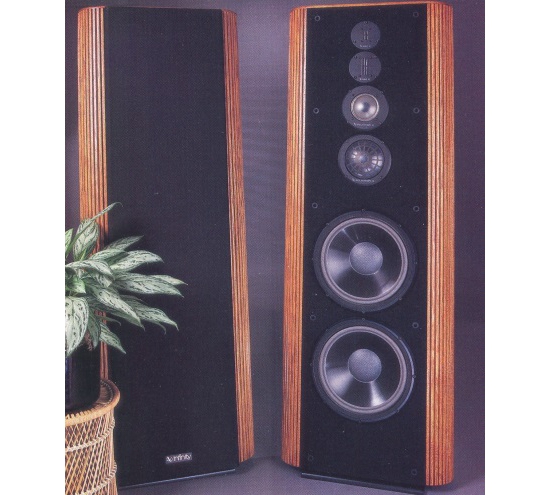 Uretfærdig ledig stilling Tutor Infinity Kappa 9 Floor standing speakers review, test, price
